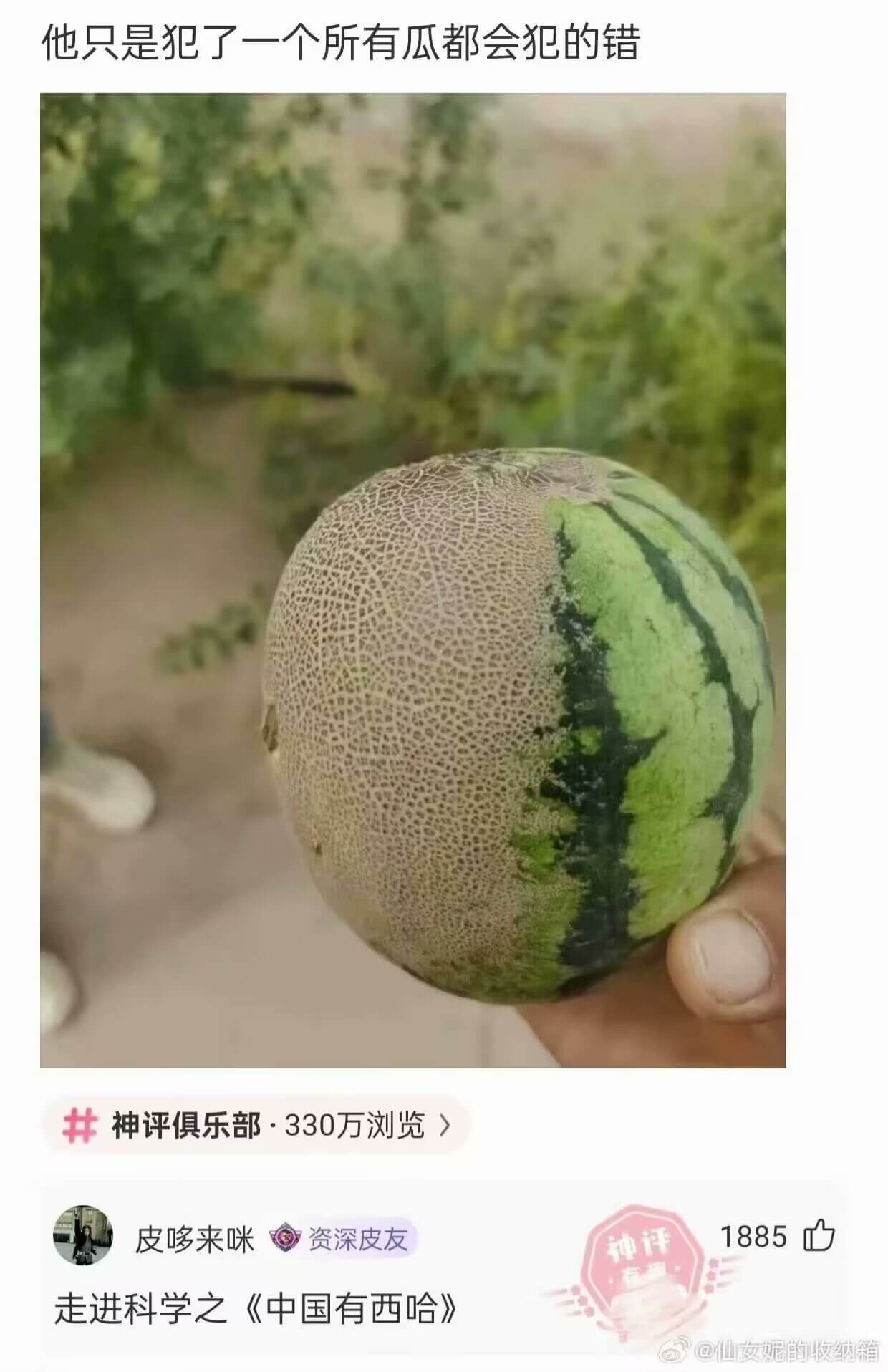 他只是犯了一个所有瓜都会犯的错开神评俱乐部·330万浏览皮哆