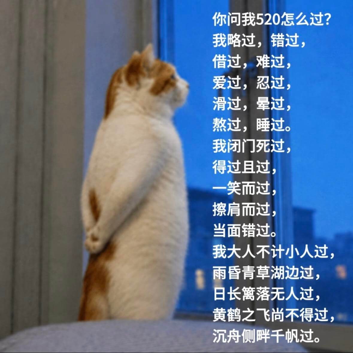 你问我520怎么过？我略过，错过，借过，难过，爱过，忍过，滑