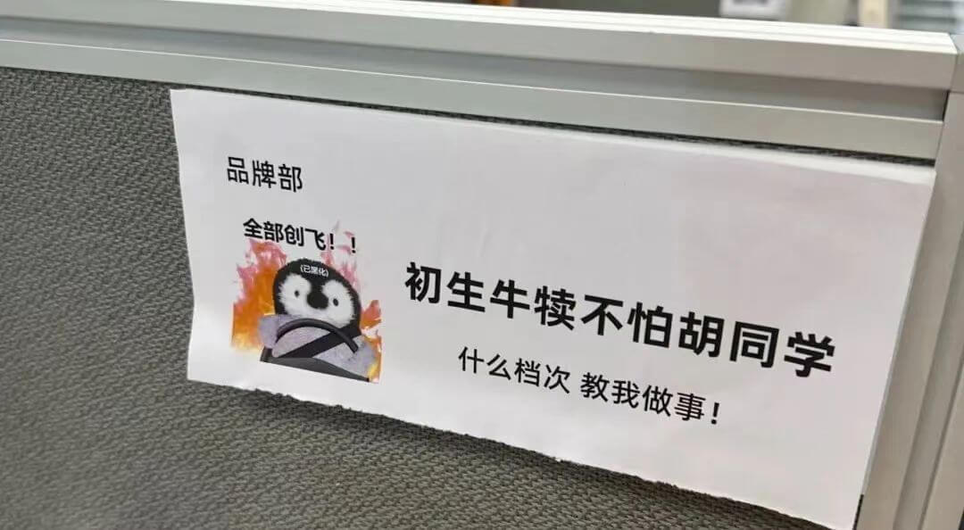品牌部全部创飞!初生牛犊不怕胡同学什么档次教我做事!