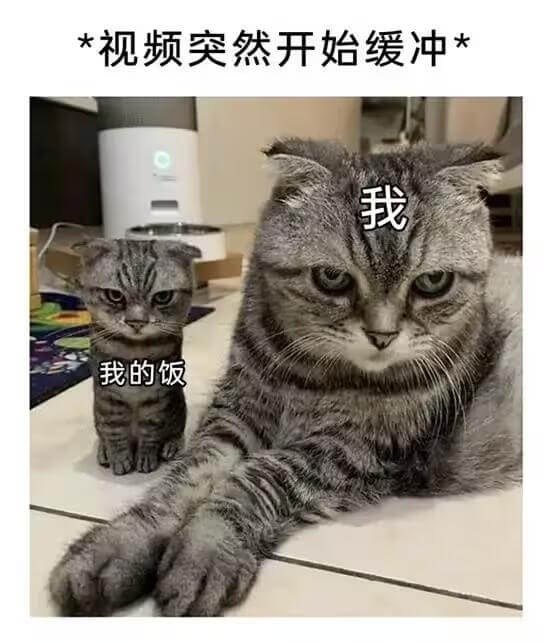 *视频突然开始缓冲*我的饭