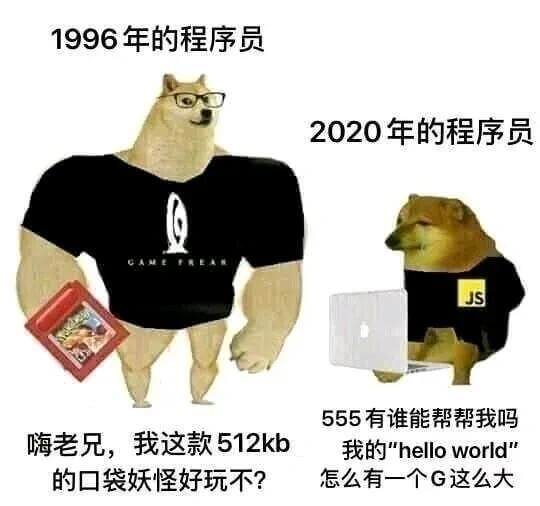 1996年的程序员2020年的程序员JS555，有谁能帮帮我