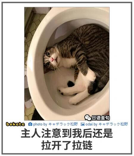 日语金句bokete自photoby松野国雄by久松野主人注