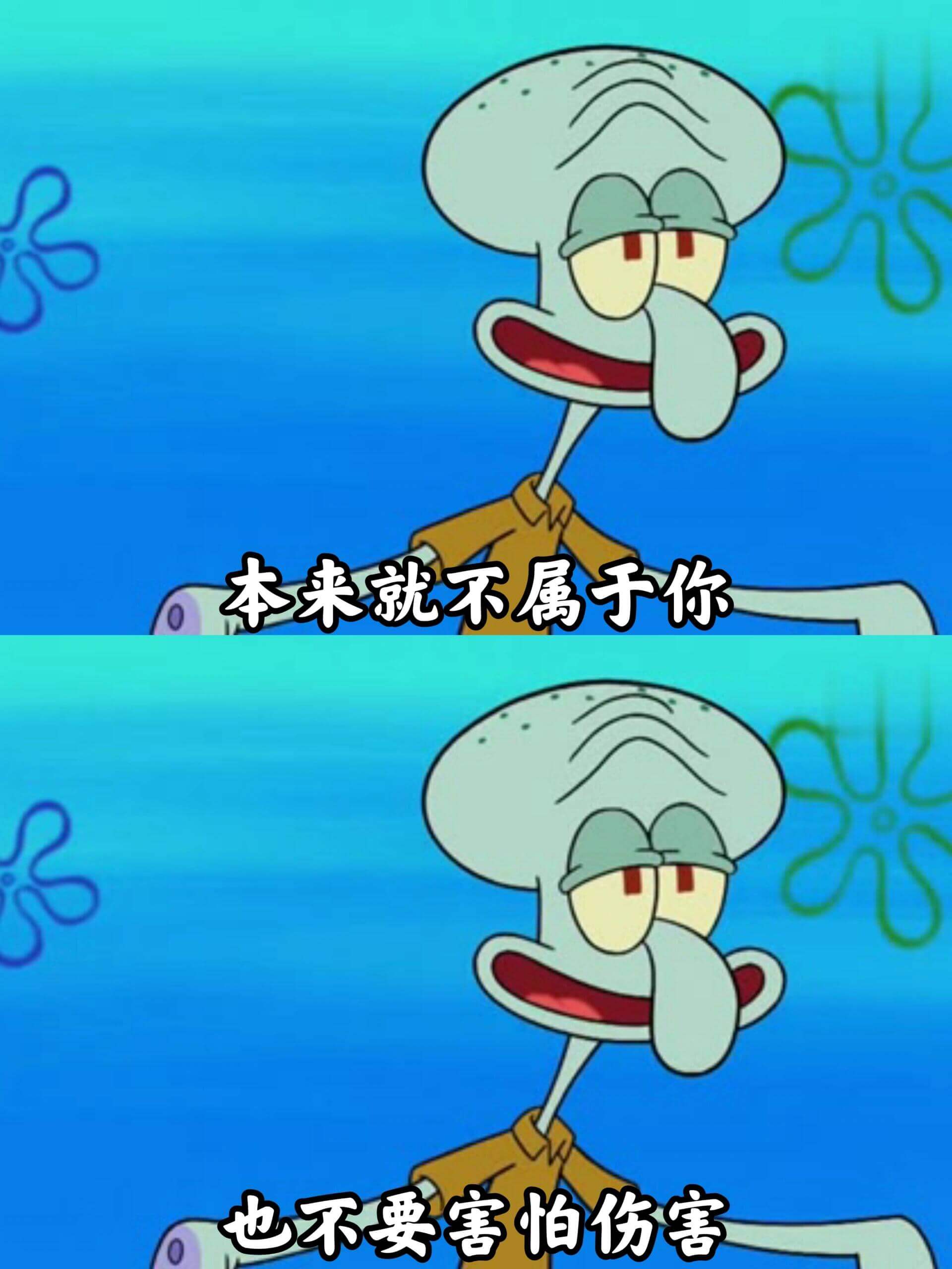 本来就不属于你,也不要害怕伤害。