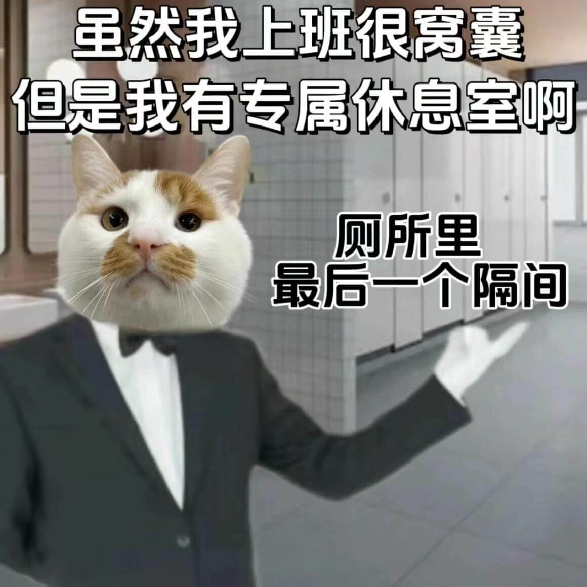 虽然我上班很窝囊但是我有专属休息室啊厕所里最后一个隔间