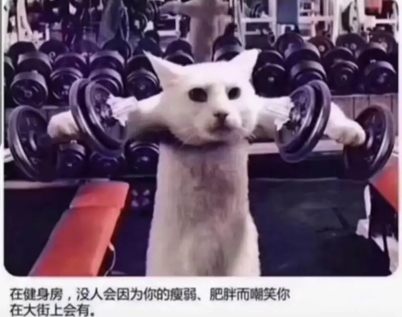 在健身房，没人会因为你的瘦弱、肥胖而嘲笑你在大街上会有。