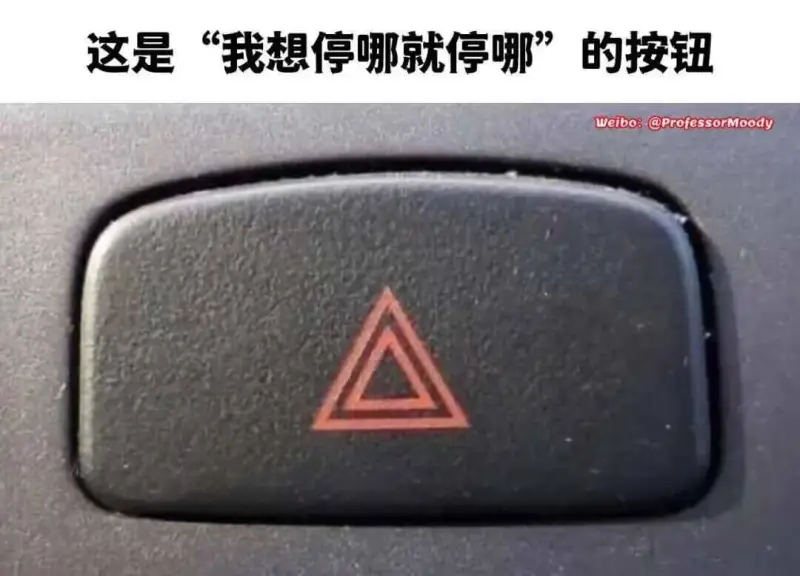 这是“我想停哪就停哪”的按钮Weibog@professor