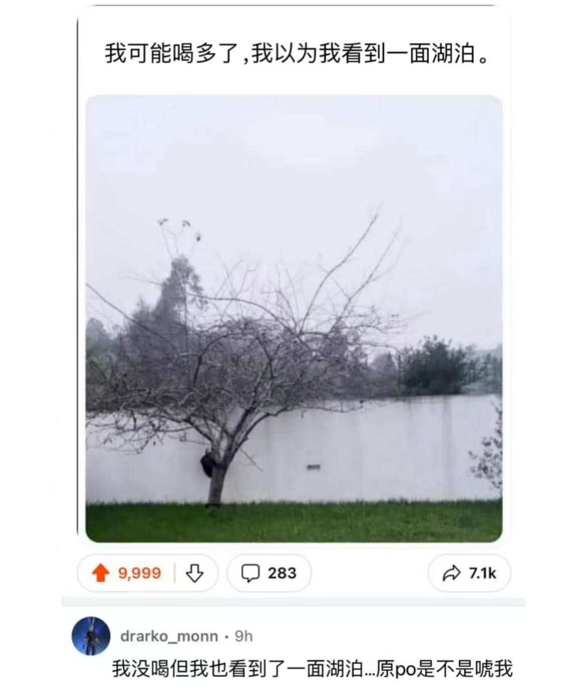 我可能喝多了，我以为我看到一面湖泊。9.9992837.1k