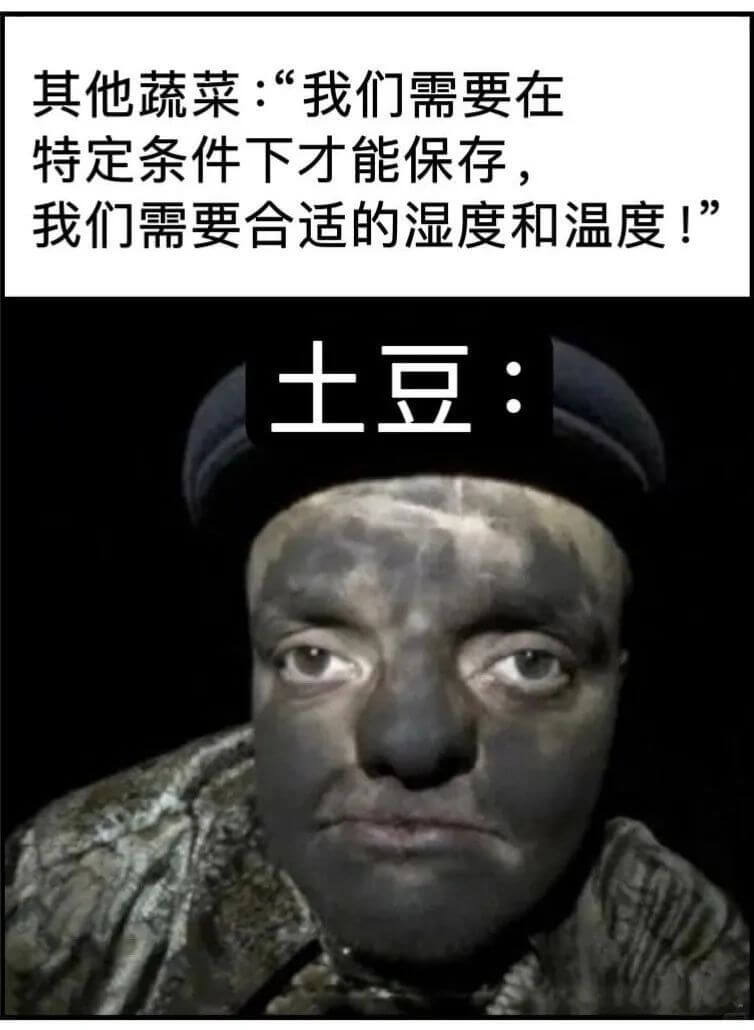 其他蔬菜：“我们需要在特定条件下才能保存，我们需要合适的湿度