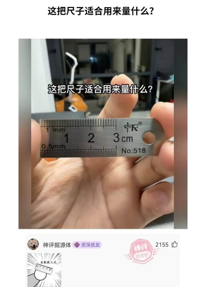 这把尺子适合用来量什么?这把尺子适合用来量什么?中尺1mm1