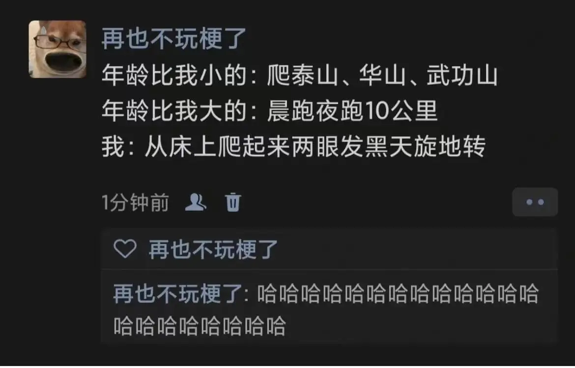 再也不玩梗了年龄比我小的：爬泰山、华山、武功山年龄比我大的：