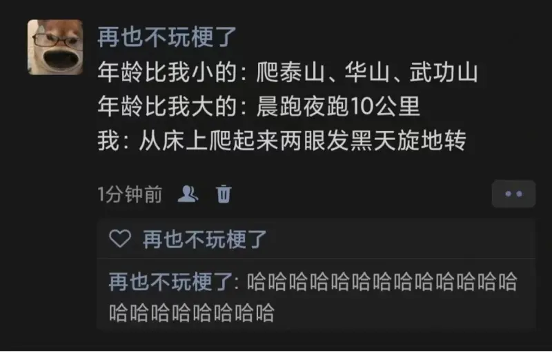 再也不玩梗了年龄比我小的：爬泰山、华山、武功山年龄比我大的：