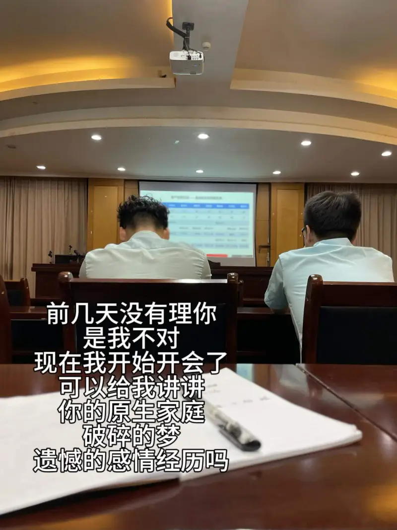 前几天没有理你，是我的不对。现在我开始开会了，可以给我讲讲你