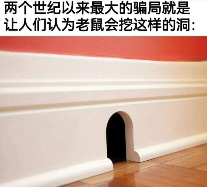 两入世纪以来最大的骗局就是让人们认为老鼠会挖这样的洞：