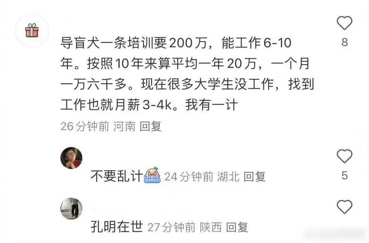 导盲犬一条培训要200万，能工作6-10年。按照10年来算平