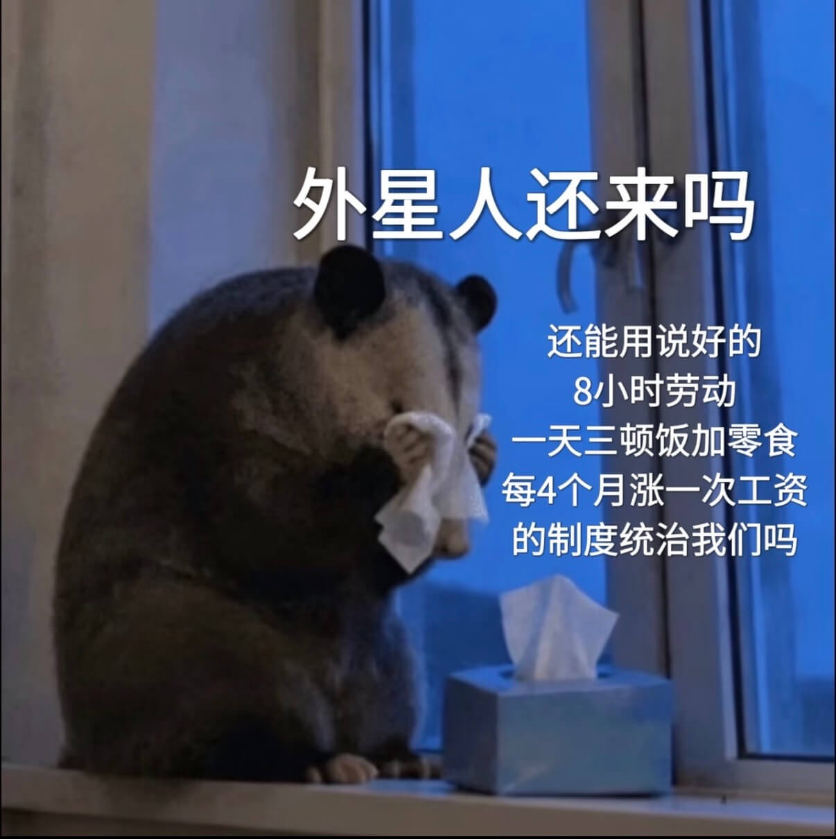 外星人还来吗？还能用说好的：8小时劳动、一天三顿饭加零食、每