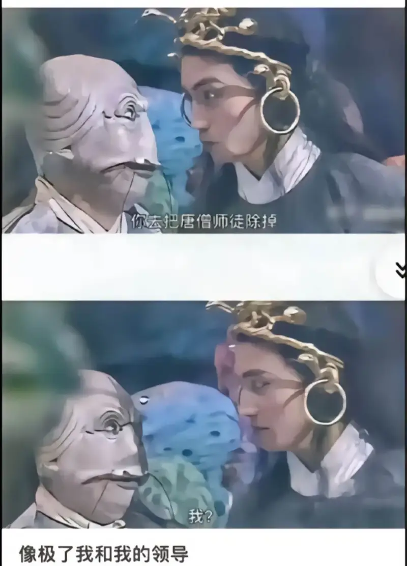 你去把唐僧师徒除掉。像极了我和我的领导。