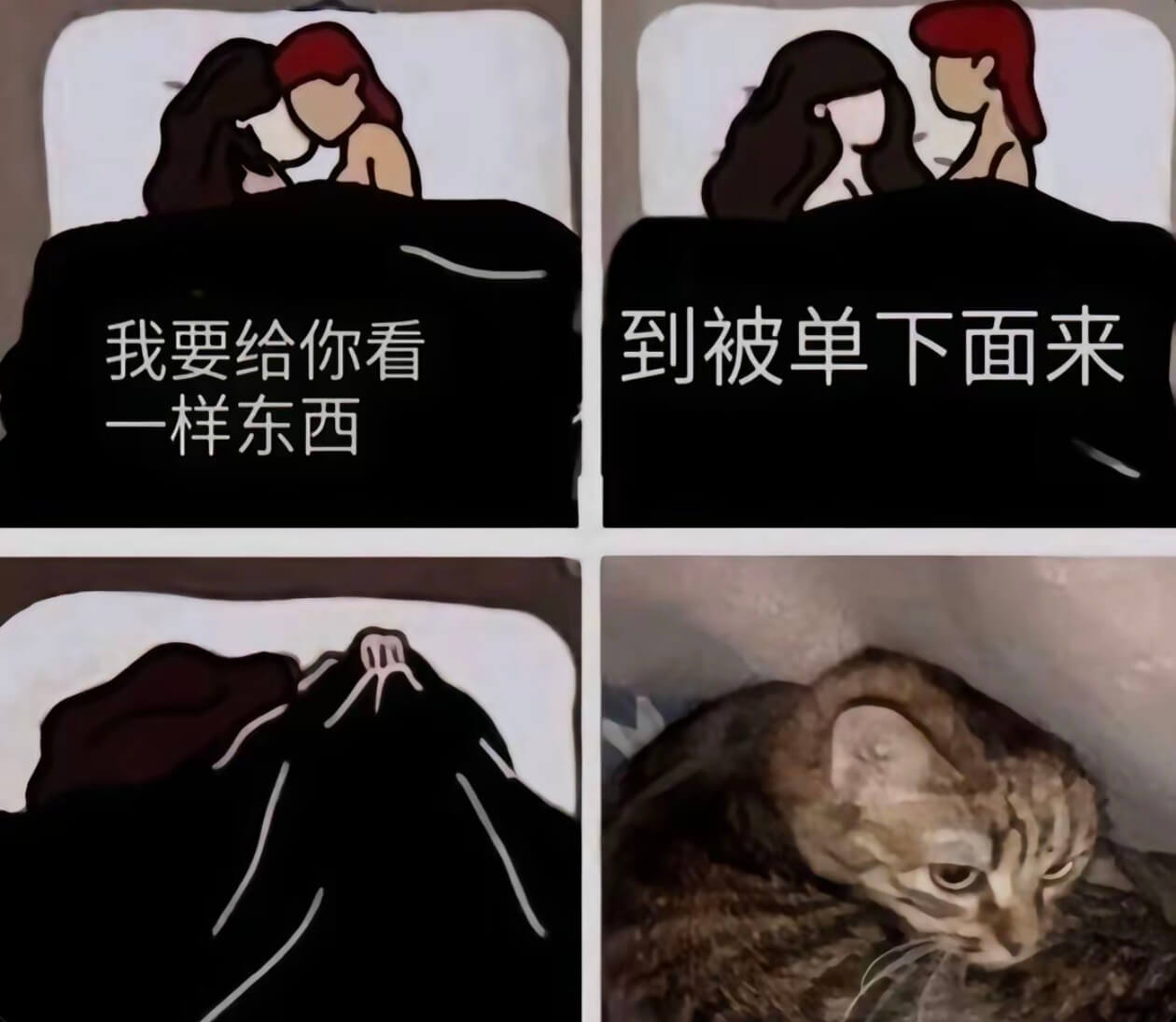 我要给你看一样东西到被单下面来