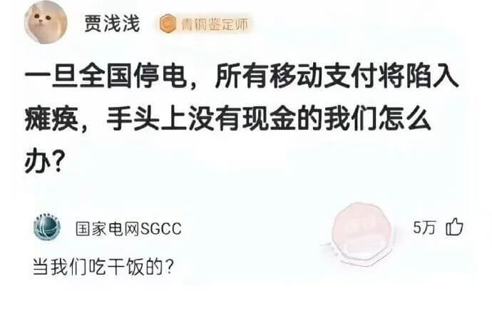 贾浅浅恒调鉴定师一旦全国停电，所有移动支付将陷入瘫痪，手头上