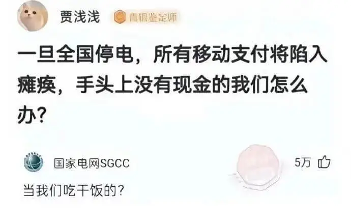 贾浅浅恒调鉴定师一旦全国停电，所有移动支付将陷入瘫痪，手头上