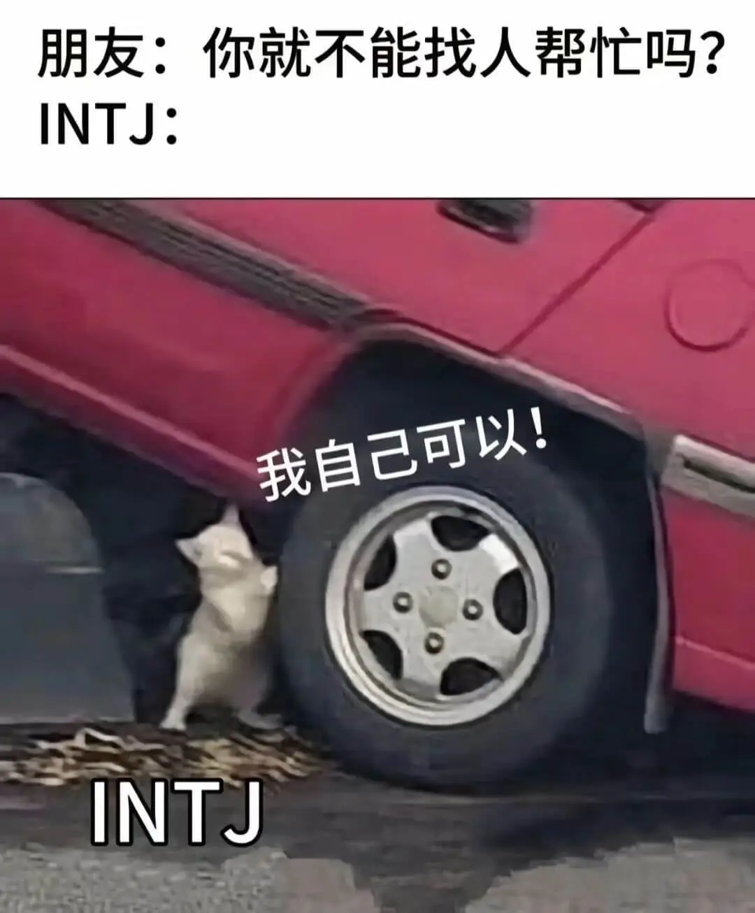 朋友：你就不能找人帮忙吗？INTJ:我自己可以！INTJ