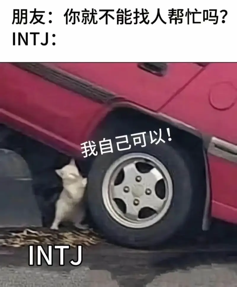 朋友：你就不能找人帮忙吗？INTJ:我自己可以！INTJ