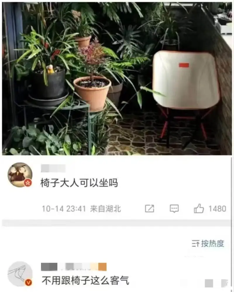 椅子大人可以坐吗10-1423:41来自湖北1480三按热度
