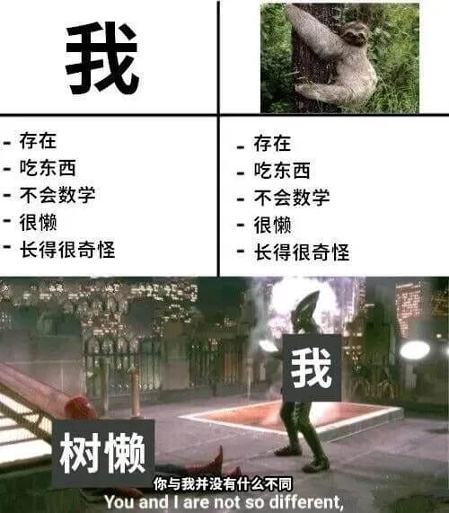 我存在一存在-吃东西-不会数学-很懒长得很奇怪我树懒你与我并