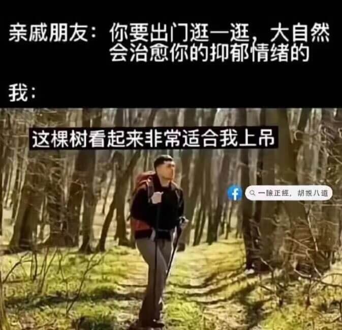 亲戚朋友：你要出门逛一逛，大自然会治愈你的抑郁情绪的我：这棵