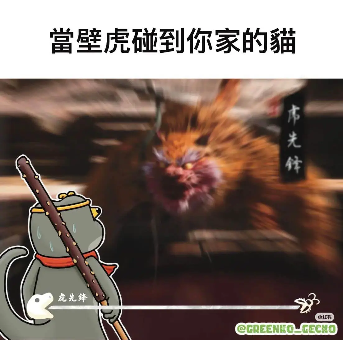 当壁虎碰到你家的猫市光锋虎先小红书QGREENHOLGECK
