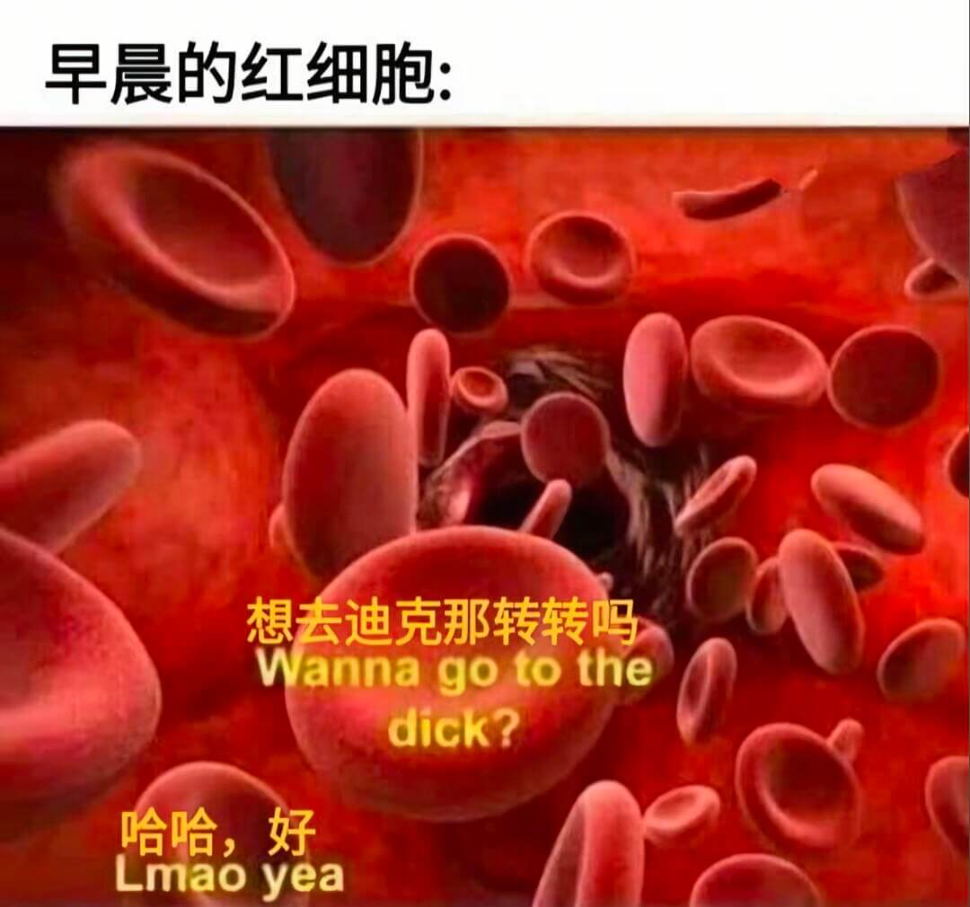 早晨的红细胞：想去迪克那转转吗Wannagotothedic