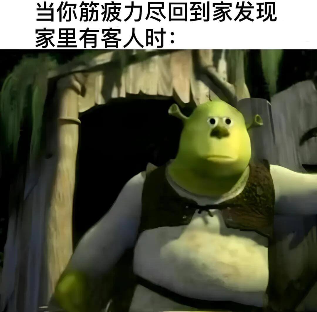 当你筋疲力尽回到家，发现家里有客人时：