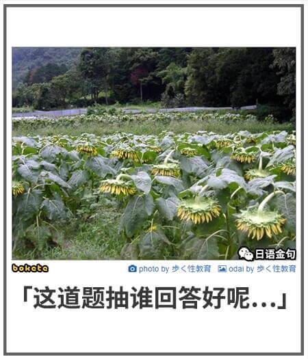 日语金句boketoaphotoby岁＜性教育＞国odaib