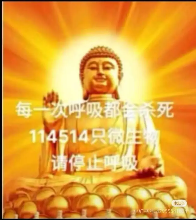 每一次呼吸都会杀死114514只微生物请停止呼吸小红书小红书