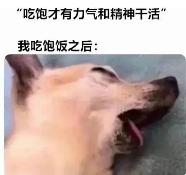 “吃饱才有力气和精神干活。我吃饱饭之后:”
