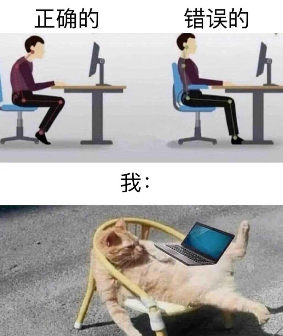 正确的错误的个1我: