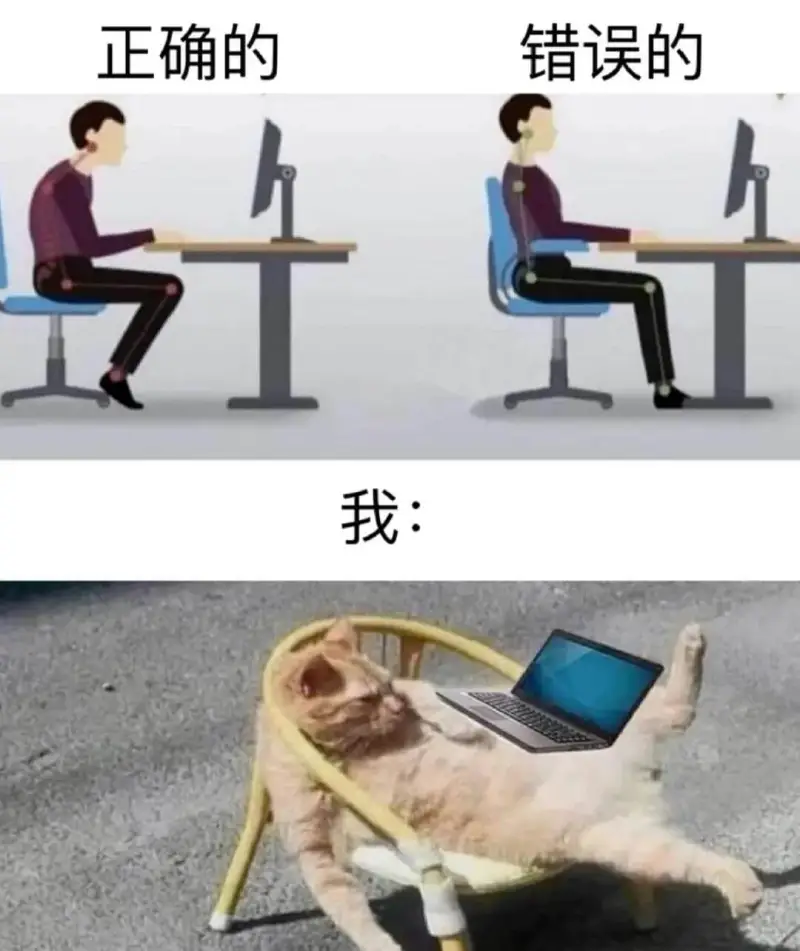 正确的错误的个1我: