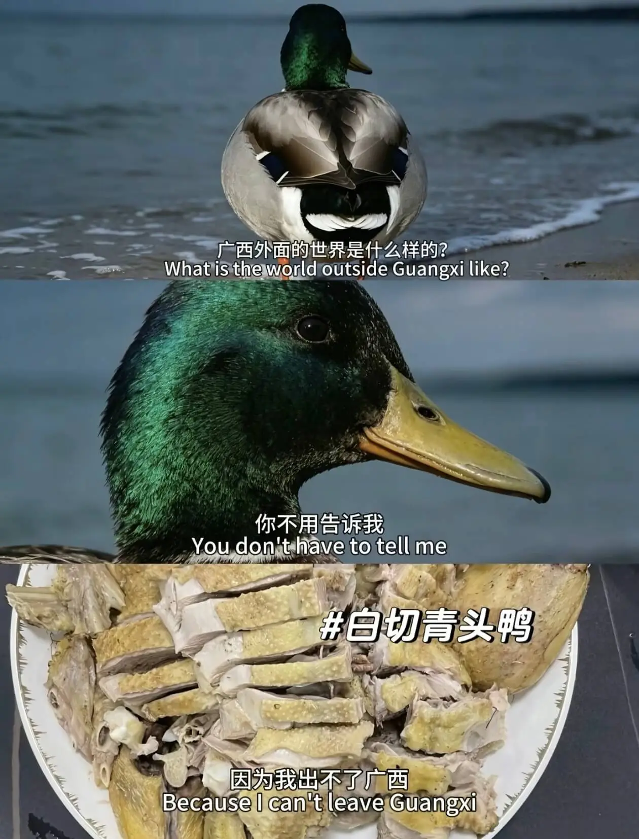 广西外面的世界是什么样的？Whatistheworldout