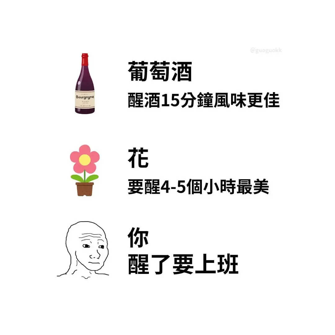 @gueguokk葡萄酒Bourgogne，醒酒15分钟风味