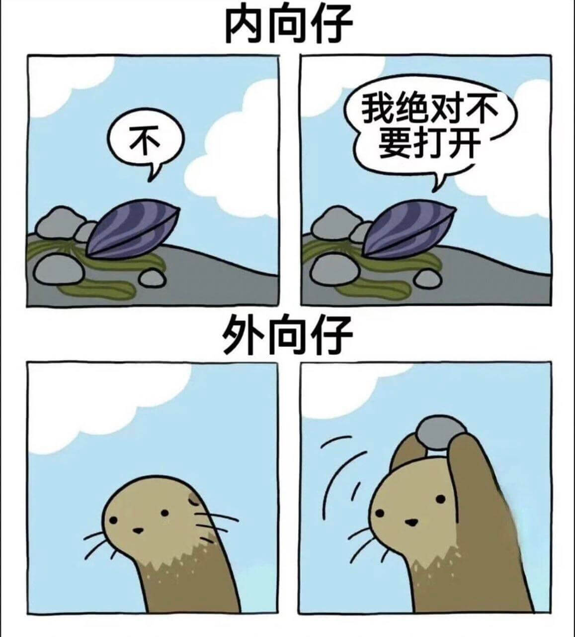 内向仔我绝对不不要打开外向仔