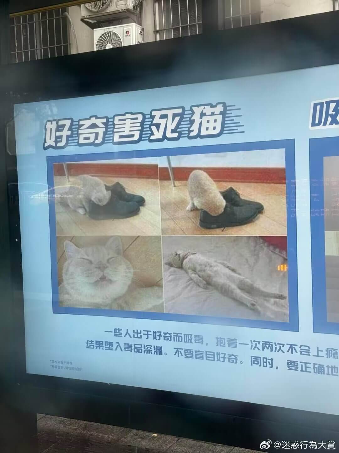 吸好奇害死猫一些人出于好奇而吸毒，抱着一次两次不会上瘾的结果