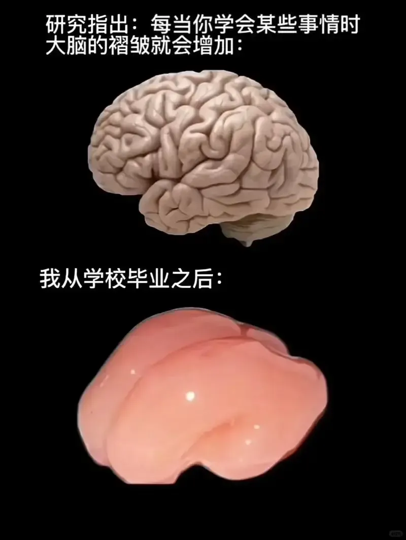 梗图