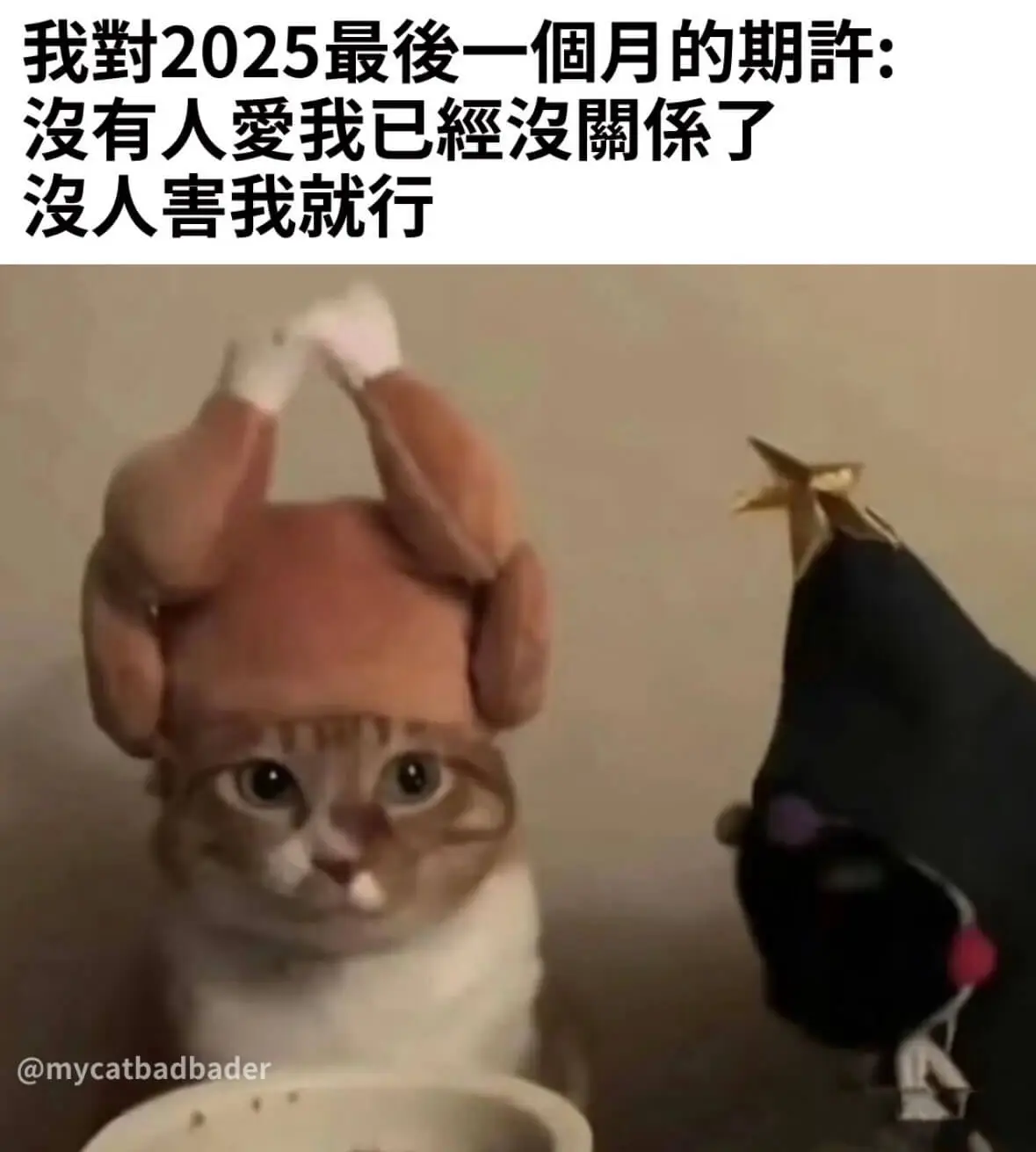 我對2025最俊一个月的期計：没有人爱我已經沒關係了没人害我
