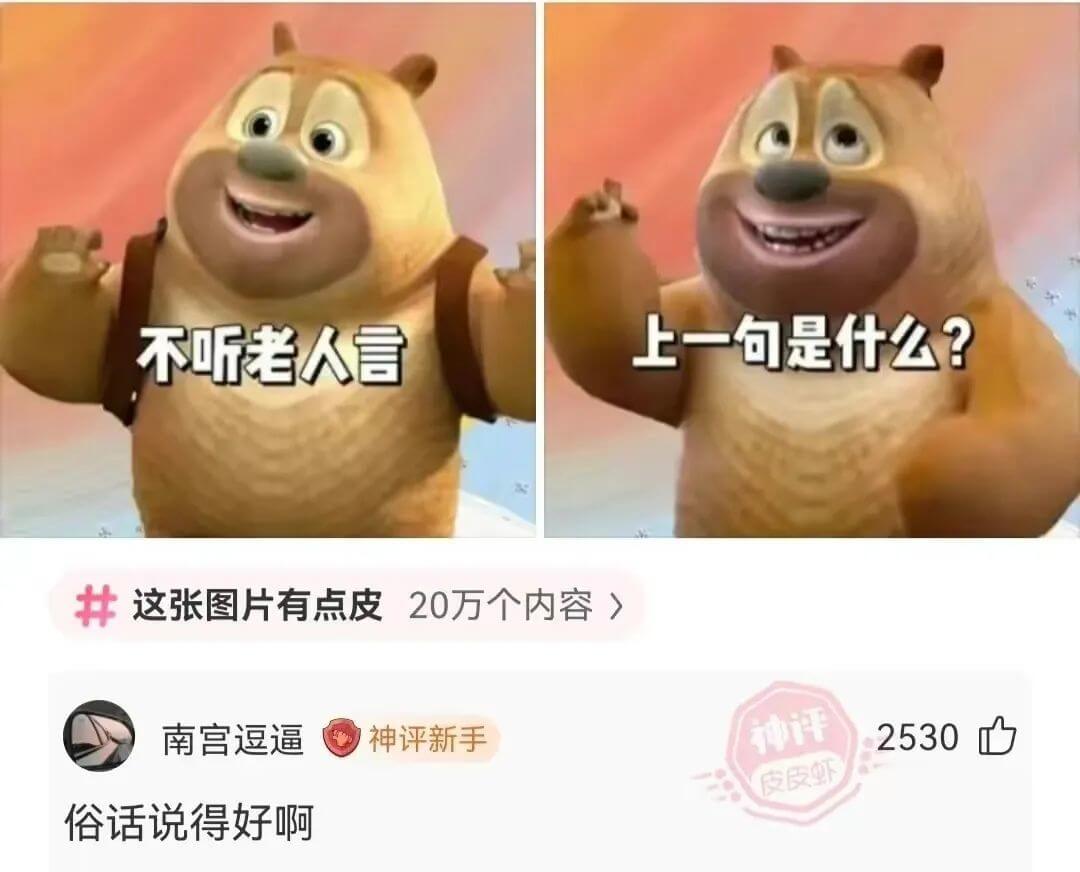 上一句是什么?不听老人言这张图片有点皮20万个内容南宫逗逼神