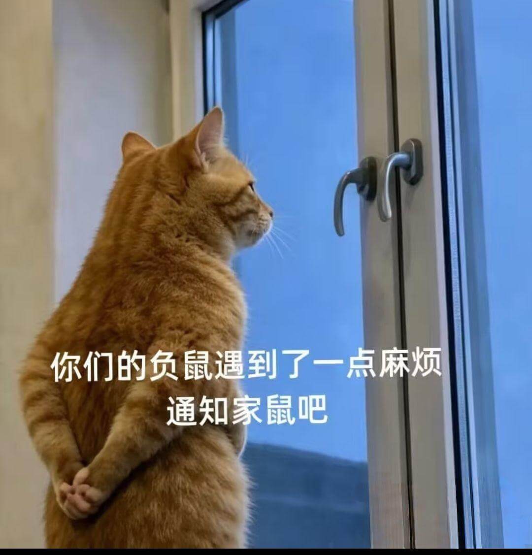 你们的负鼠遇到了一点麻烦，通知家鼠吧。