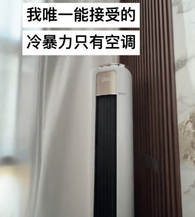 我唯一能接受的冷暴力只有空调200