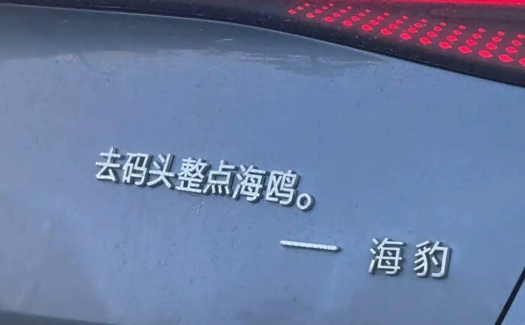 去码头整点海鸥。海豹。