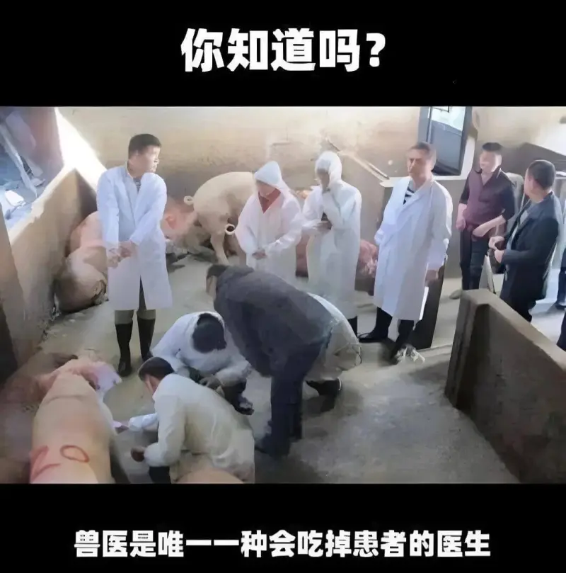 你知道吗?