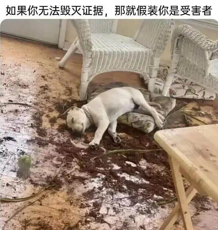 如果你无法毁灭证据，那就假装你是受害者