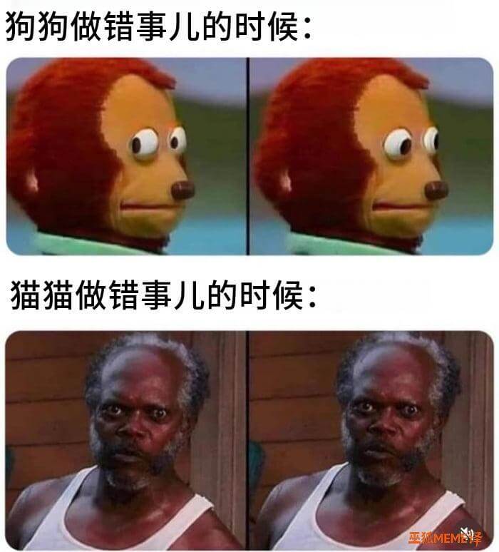 狗狗做错事儿的时候：猫猫做错事儿的时候：巫狐MEME