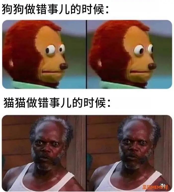 狗狗做错事儿的时候：猫猫做错事儿的时候：巫狐MEME